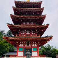 紫陽花。