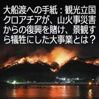 【防げ🔥山林火災】三陸大船渡へのメッセージ：岸辺の市街を襲った山火事、前例クロアチアが「防火の決定打」とした復興事業とは❔