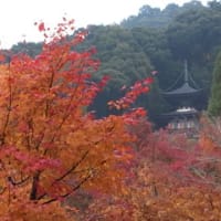 禅林寺（永観堂）の紅葉