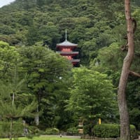 岐阜公園にはかつてライオンがいた