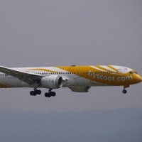 2025年5月1日(木)　関西空港　撮影報告