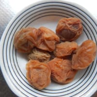 続編梅干しの出来上がり・・・・