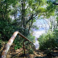 想い出巡り