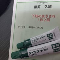 オニヤンマ君（正確には、ヤンマスティック）の効果は・・・？