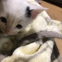 いろいろあった１週間
