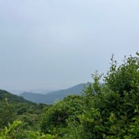 梅雨入り前に山歩き