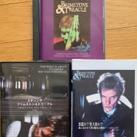 スティング   ブリムストン＆トリークル　DVD CD VHS