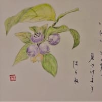 「今年の土用の日は・・・梅ぼし？」