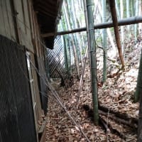 工房　落ち葉掃除　2025.5