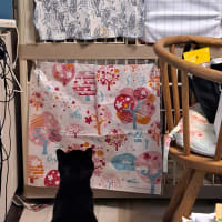 後少し