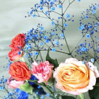 染め花・青いカーネーション