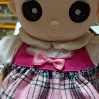 ネルルちゃんを買ってもらいました。