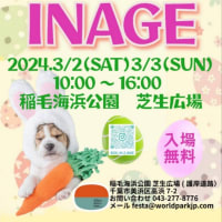 さぁ～開催だ(⁠^⁠^⁠)  稲毛海浜公園  芝生広場 PET FESTA INAGE 2024年3月2日(土)・3日(日)開催 です (⁠^⁠^⁠)