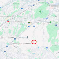 東京都多摩東部地震
