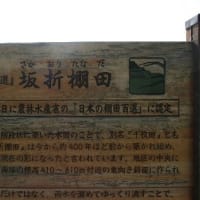 日本の棚田百選の一つ、坂折棚田（さかおりたなだ）美景、ドキドキ眺め　(岐阜県恵那市)