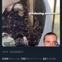 こんなのを見つけました。