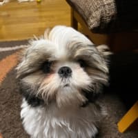 4か月になりました。