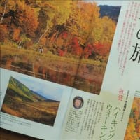 'ゆうゆう 11月号' に4Pで '錦繍の景色を楽しむ秋の旅' を担当しています。