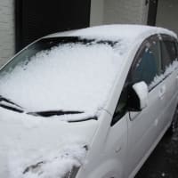 3月29日（雪）