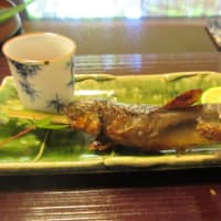 雅味近どう　鮎の塩焼き