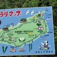 海鳥のサンクチュアリ　天売島と森林浴を楽しむメルヘンの焼尻島　２７回目　天売島
