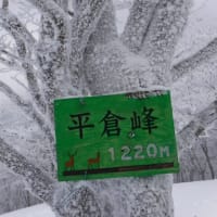 やっと雪を堪能できた三峰山⛄　北尾根↑新道↓周回