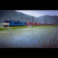 雨の貨物列車