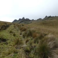 セロ･プンタスCerro Puntas（4356m）