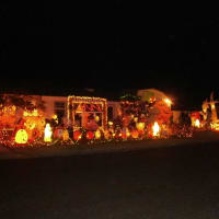 Halloween Day!!!