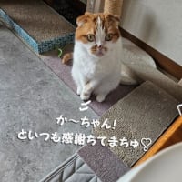 来客