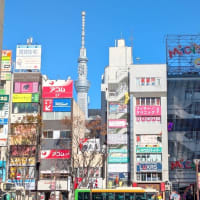 トコトコ歩いて錦糸町 