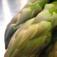 ASPERGE　VERT　MATSUE‐HONJYO