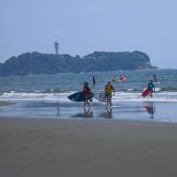 辻堂海浜公園散策