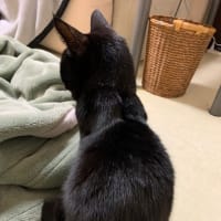回復の兆し？