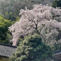  （物語）民話と伝説と宝生山甘南備寺　目次−１