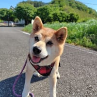 今日から５月