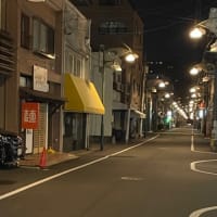 薬屋のひとりごと　シーズン2