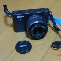 Nikon1 J1 レビュー