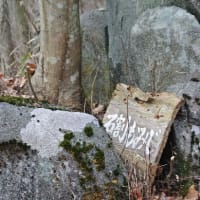 26年度最初の山登り