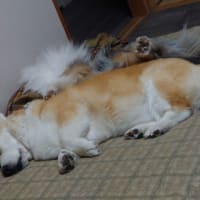 再会