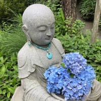 久々の鎌倉を堪能！　あじさい寺「明月院」　竹林「報国寺」