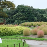 「雨天の響灘グリーンパ...」