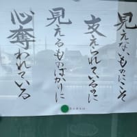 今日は暑かった💦　　(5/22)