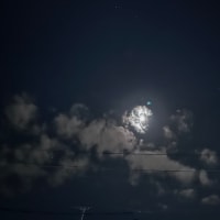 ♪   春先MOONセレナーデ♪