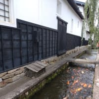 飛騨市にようやく行けた思い出