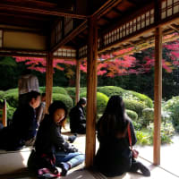 京都最後の散策、詩仙堂から修学院へ