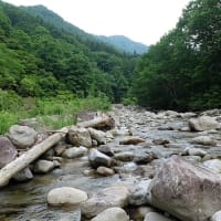 今年の初釣り・新潟K沢