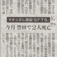 マダニ報道