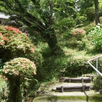 多気町「丹生山神宮寺（丹生大師）」に行ってきました～(^^)  2025