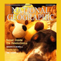 しょこが雑誌に・・・